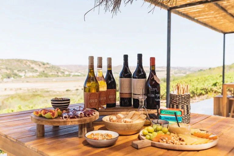Gastronomy & Vines: A Taste of the Algarve